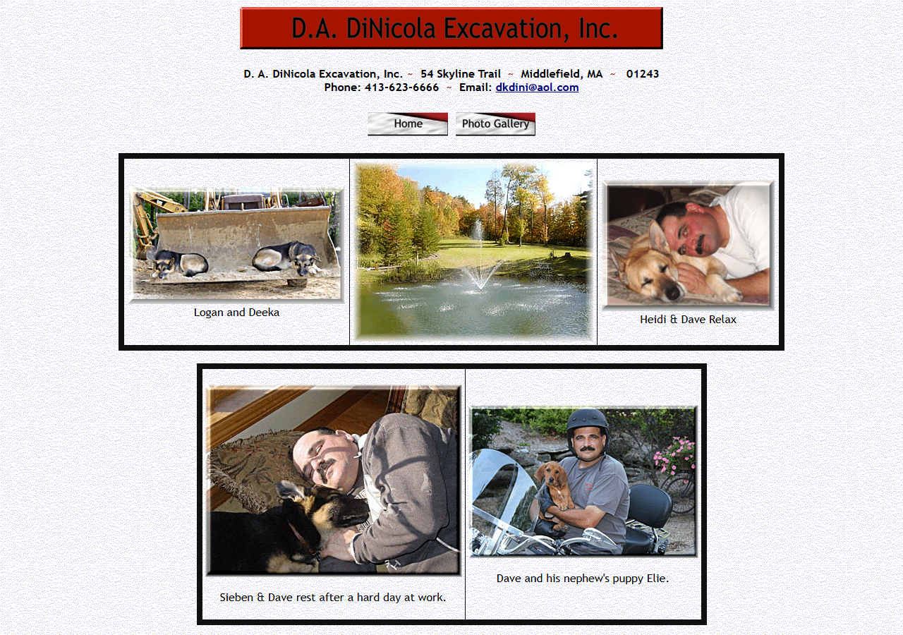 D. A. DiNicola Excavation, Inc. website before the rebuild