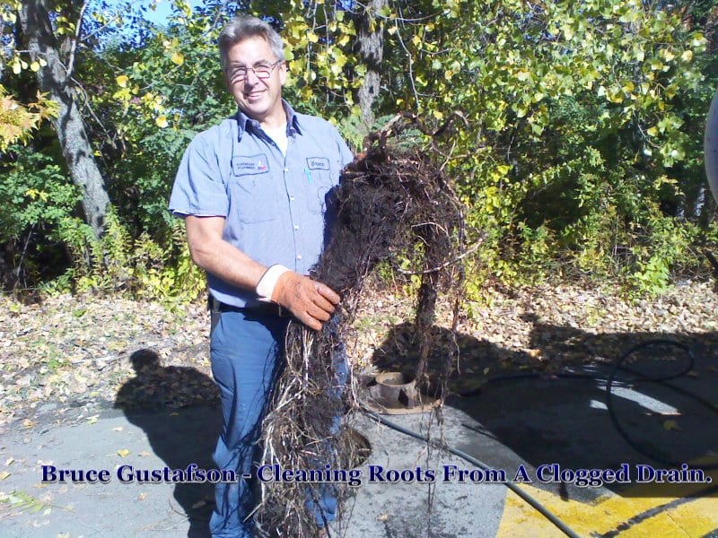 Bruce Gustafson holding a large mass of tree roots pulled out of a clogged drain